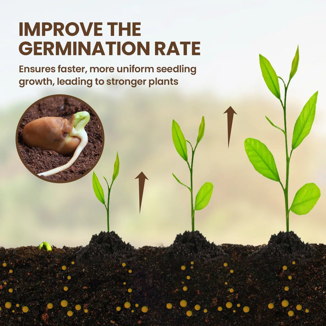 Loamcroft™ – Organic Soil Activator for Healthier Roots &amp; Vibrant Plant Growth + 50% OFF