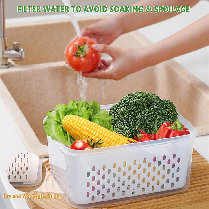 Larder™ – Double-Drain Freshness Containers for Fridge Organization + 50% OFF