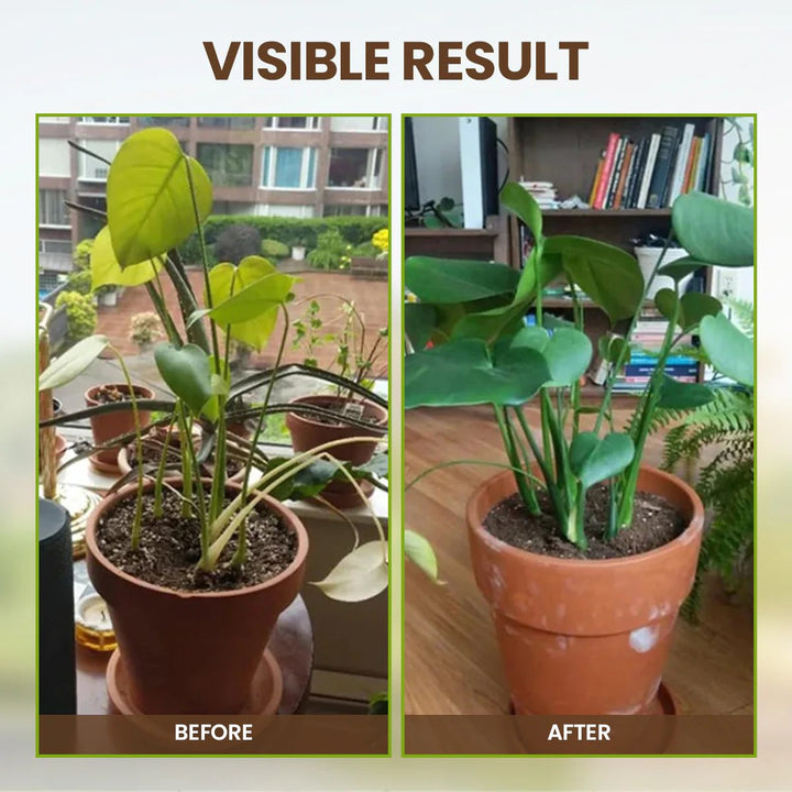 Loamcroft™ – Organic Soil Activator for Healthier Roots &amp; Vibrant Plant Growth + 50% OFF