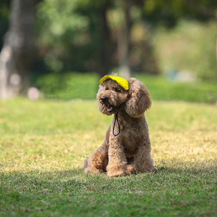 Wagley™ – Adjustable Sun-Shielding Dog Cap with Ear Holes &amp; Chin Strap + 50% OFF