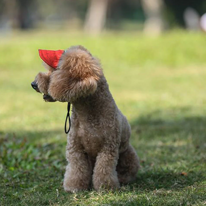 Wagley™ – Adjustable Sun-Shielding Dog Cap with Ear Holes &amp; Chin Strap + 50% OFF