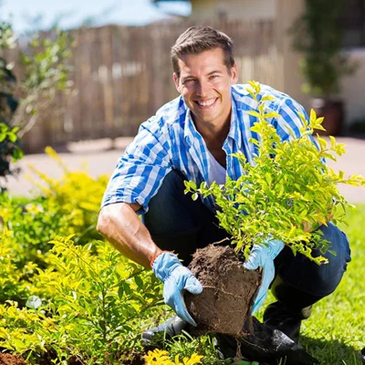 Loamcroft™ – Organic Soil Activator for Healthier Roots &amp; Vibrant Plant Growth + 50% OFF