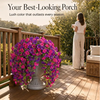 Bowerly™ – UV-Resistant Lifelike Hanging Morning Glory Vines for Outdoor Porch & Garden Decor + 50% OFF