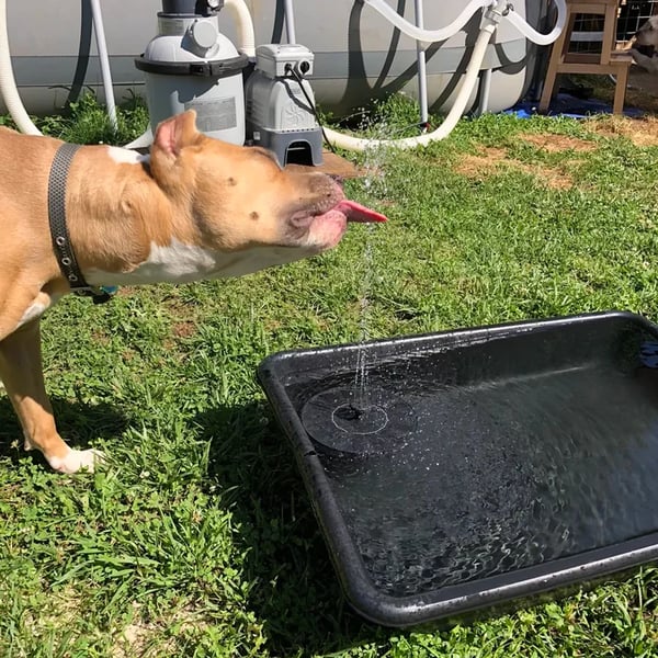 The AuraFlow Solar Fountain — Instant Garden Vitality + 50% OFF